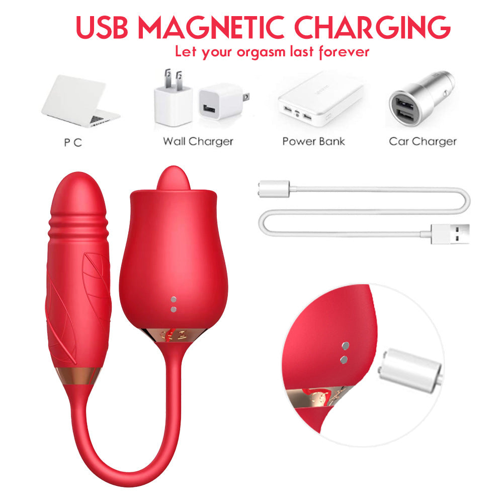 Sexeeg The Rose Toy With Bullet Vibrator Pro