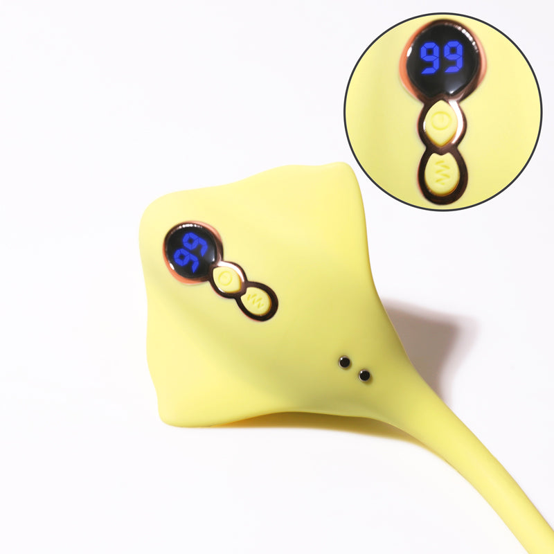 Sexeeg Magic Stick Vibrator for Women Telescopic Sucking Vibrator Vibrating Egg