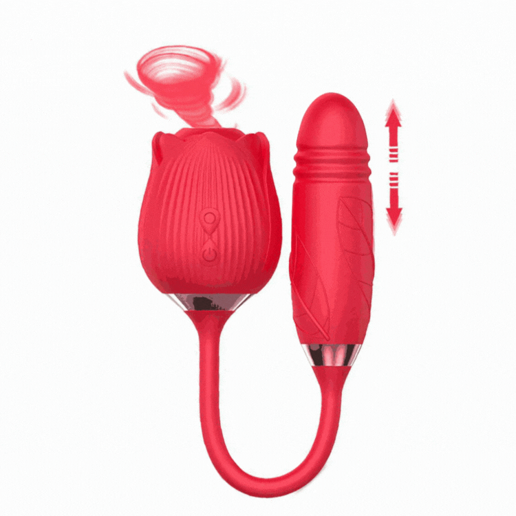 Sexeeg New 2 In 1 Rose Flower Toy Pro 2