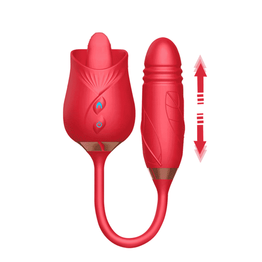 Sexeeg The Rose Toy With Bullet Vibrator Pro