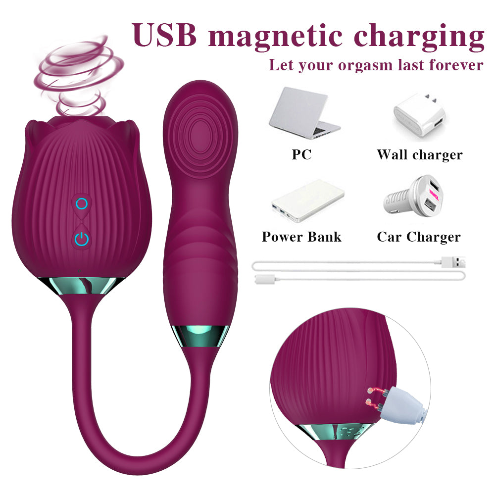 Sexeeg Rose Vibrator Clitoris Stimulator
