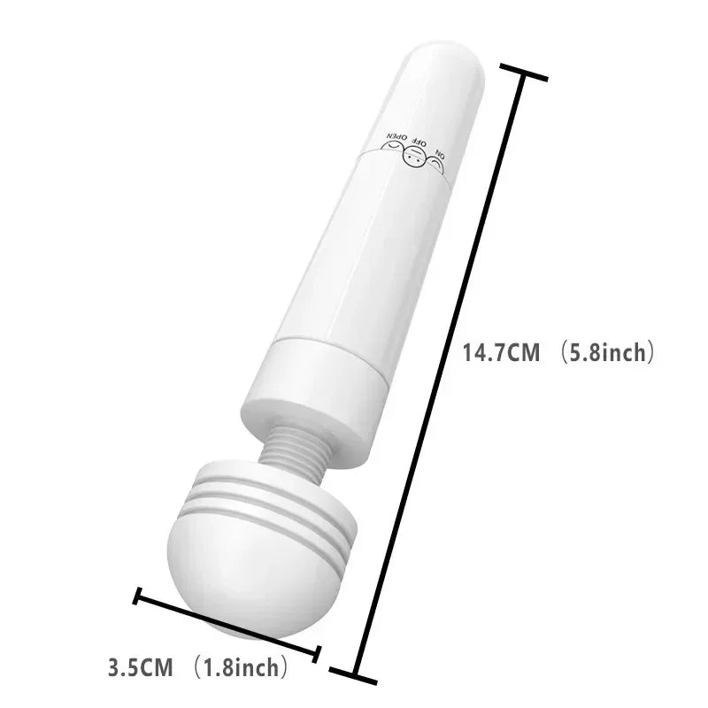 Vibrators Woman With Control Stimulator Masturbator Bead Toy For Adults Artificial Rods Balls For Vagina Toys